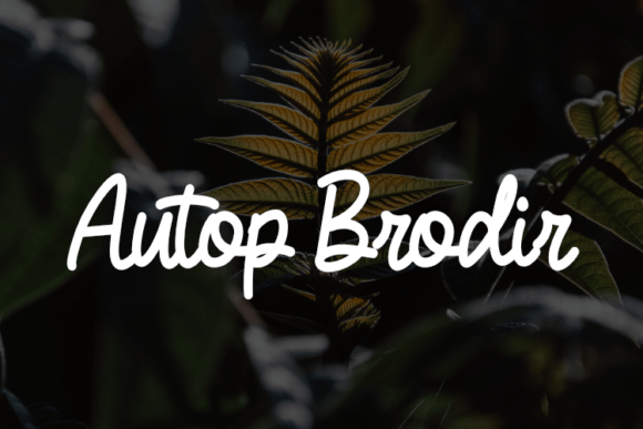 Autop Brodir: A Font for the Modern Editorial Designer